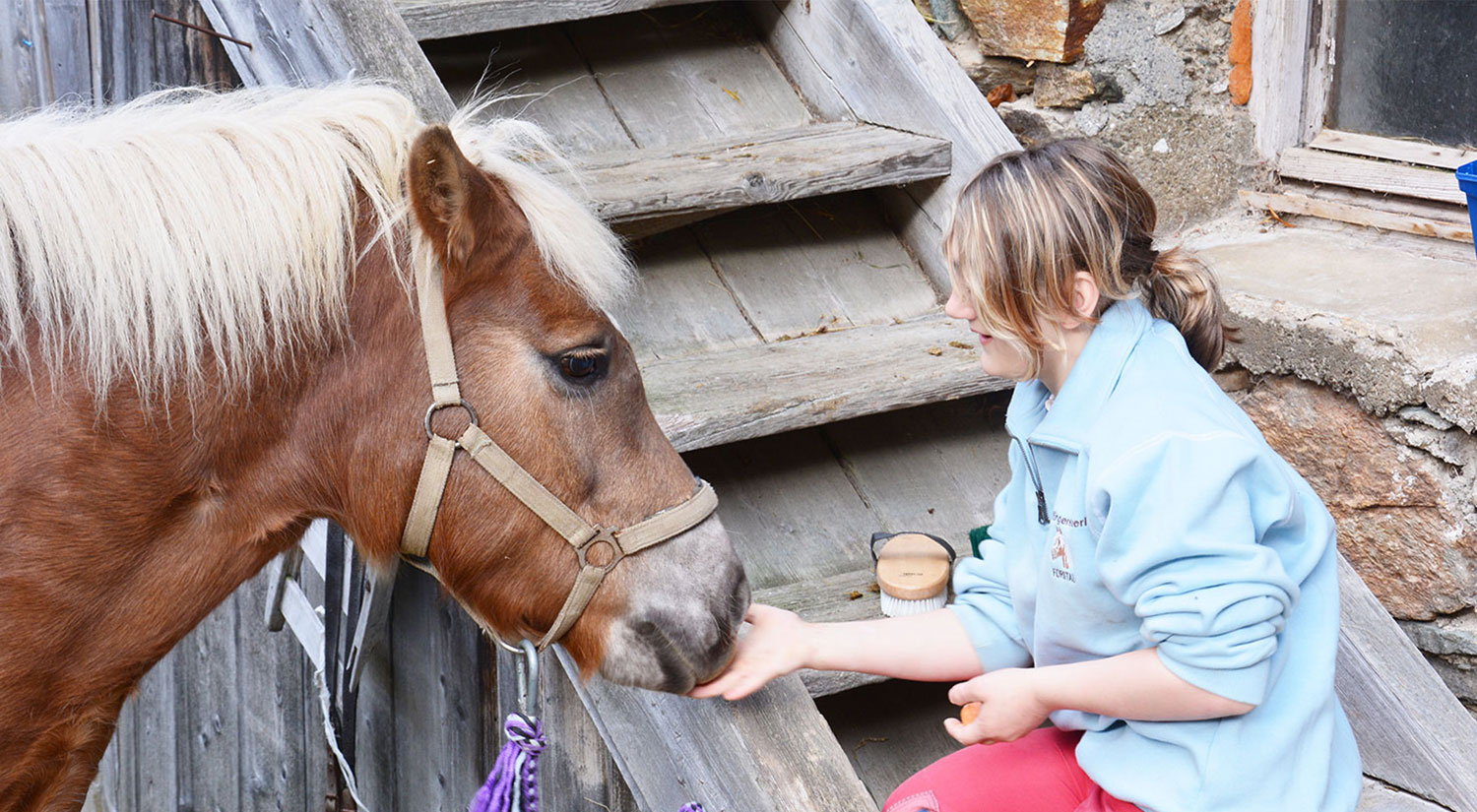 Horse riding at Fresoldhof